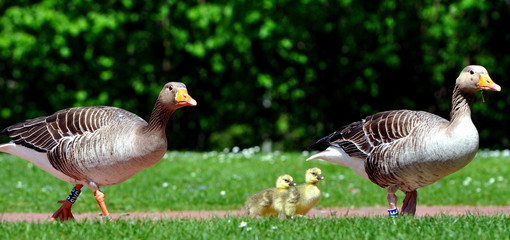 Familienausflug