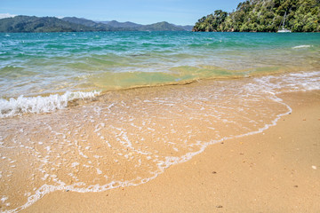 Strand in den Marlborough Sounds