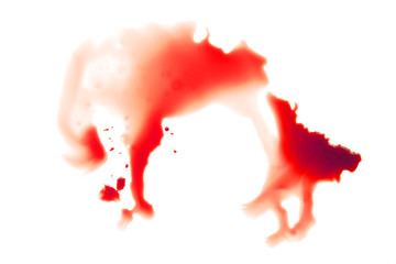 Blood stains on a white background
