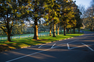 Утренняя тишина в парке © Mikulich Vasily