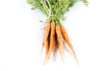 freshly picked carrots