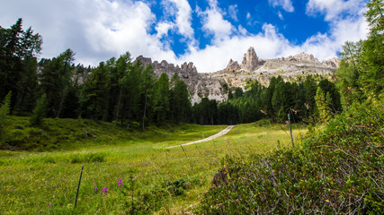 view of the Rosengarten group in the Dolomites, Italy