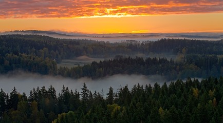 Foggy countryside view. Beautiful misty morning at Aulanko national urban park in Finland.