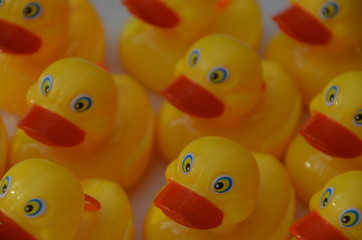 Enten angeln beim Kinderfest