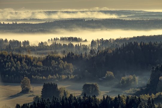 Foggy countryside view. Landscape just before the sunrise in the morning.