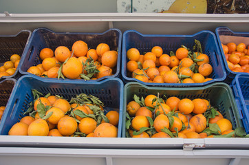 Oranges in plastic boxes
