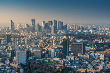 Fototapeta na wymiar Skyline of Tokyo Cityscape at Sunset, Japan
