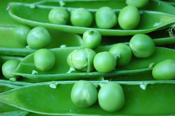 Peas
