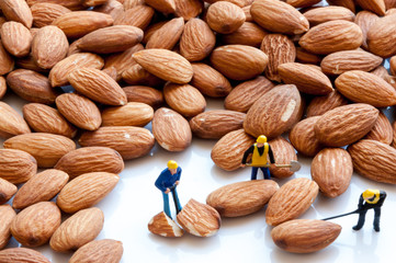 Peeled almonds closeup. For vegetarians with miniature people.