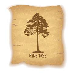 Pine Tree on Old Paper