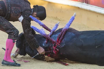 Abwaschbare Fototapete Stierkampf Die Kunst des Stierkampfes und die Kontroverse um den Tiermissbrauch von Bullen im Stierkampf