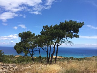 Fototapeta na wymiar Сосны на фоне моря, Греция, Родос
