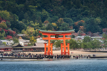 Great floating gate (O-Torii) on Miyajima island near Itsukushima shinto shrine