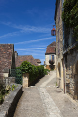 Fototapeta na wymiar View of Beynac-et-Cazenac, Dordogne, Aquitaine, France