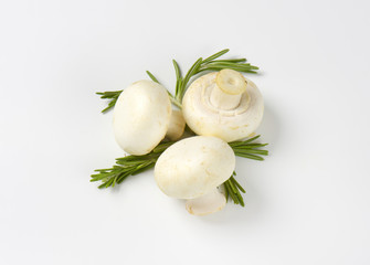 Three table mushrooms