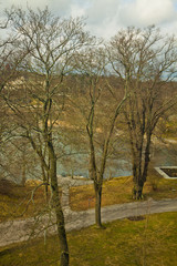 Fototapeta na wymiar Sweden, panoramic view of trail among oak trees along sea border on winter
