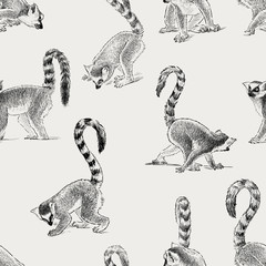 pattern of the lemurs © asmakar