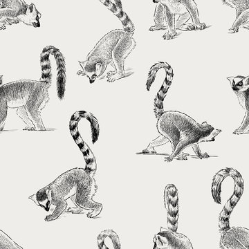 Premium Vector  Lemurs pattern animal