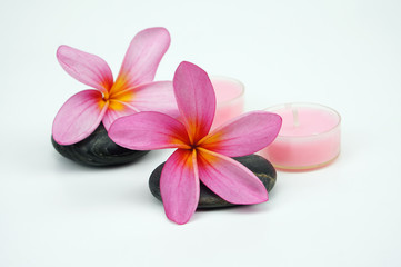 Fototapeta na wymiar Pink Frangipani flowers on pebble with pink candle isoalted on w