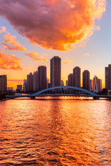 Fototapeta premium Tokyo skyline, Japan.