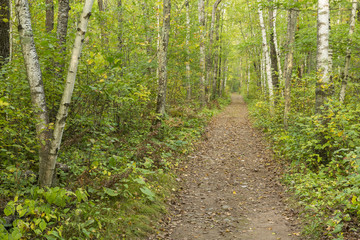 Fall Hiking Trail Scenic