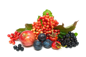 fruit and berries close up on a white background