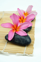 Pink Frangipani with black pebbles on bamboo mat. Spa concept
