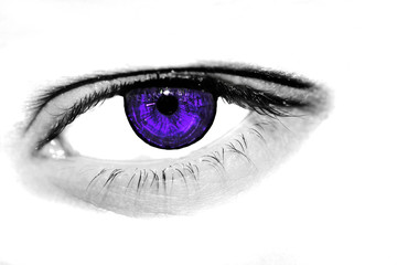 insightful look eyes boy