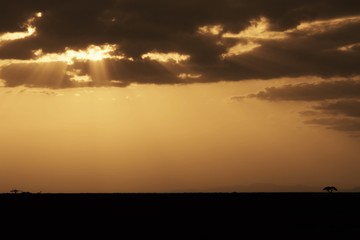 Sonnenuntergang in der Wüste