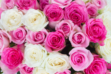bouquet of fresh roses