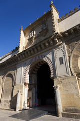 Door of the Mosque-cathedral of Cordoba, Andalucia,  Spain