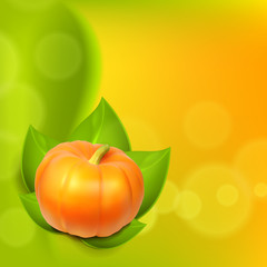 Background with pumpkin in leaves