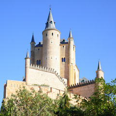 Fototapeta premium Castle of Segovia