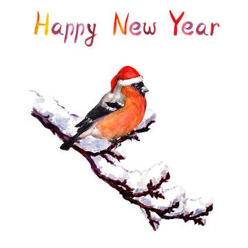 Christmas card - bird in red hat at branch with snow. Watercolor