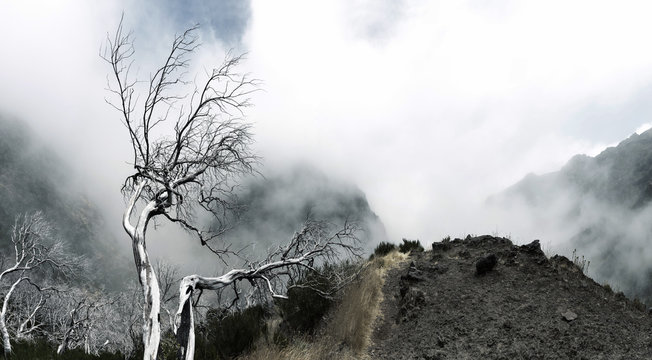 Fototapeta Obscure mountains