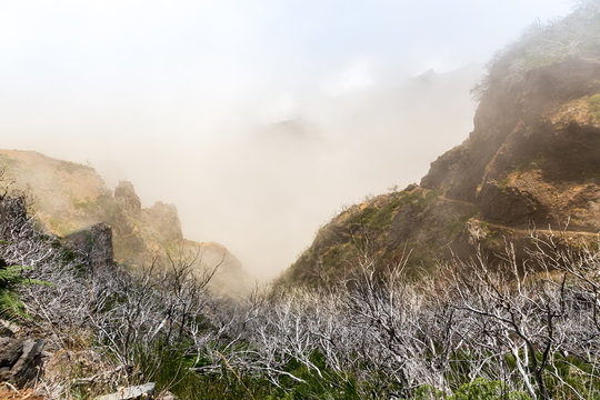 Fototapeta Obscure mountains 