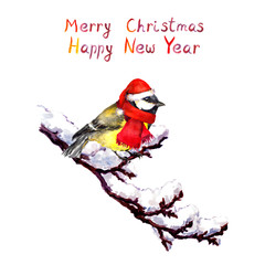 Christmas card - bird in red hat at branch with snow. Watercolor