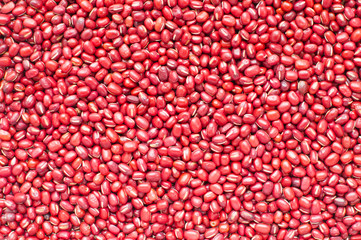 Red Bean Adzuki