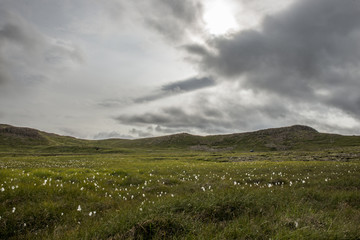 islanda - terra libera