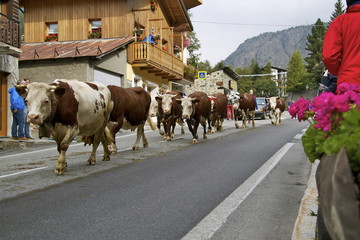 D&eacute;sarpa in Valtournenche