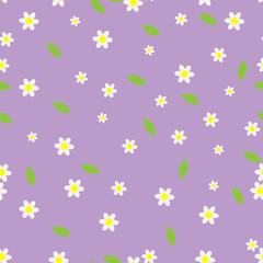 Obraz premium Seamless flower pattern camomile
