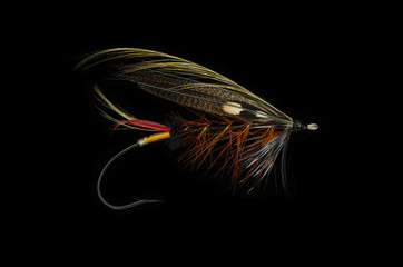Thunder and Lightning Salmon Fly