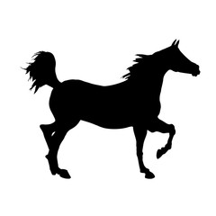 horse icon