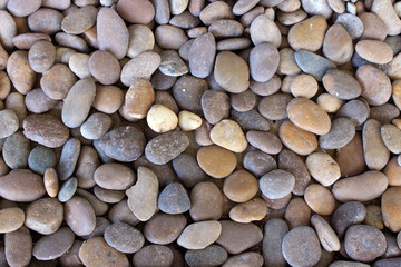 colorful multicolored pebbles