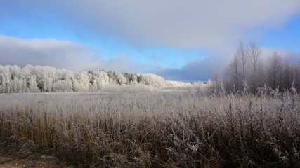 Frosty autumn morning.