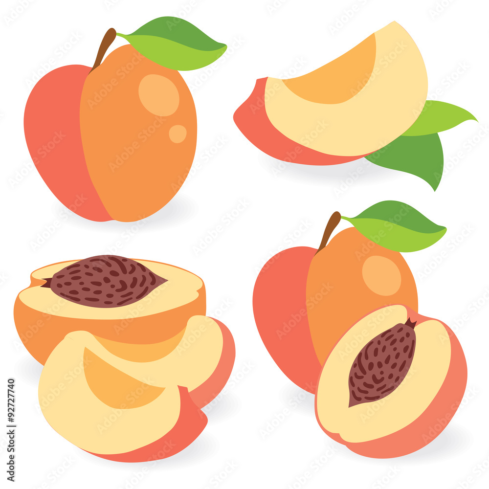 Wall mural Peaches vector illustration