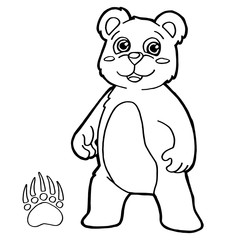 bear with paw print Coloring Pages vector
