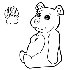 bear with paw print Coloring Pages vector
