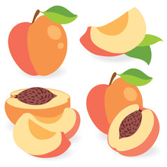 Peaches vector illustration