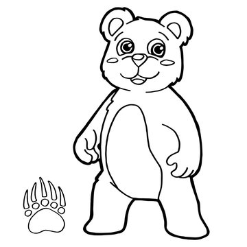 bear with paw print Coloring Pages vector
